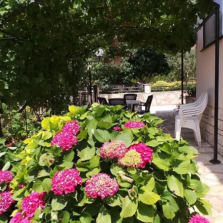 Apartman 15